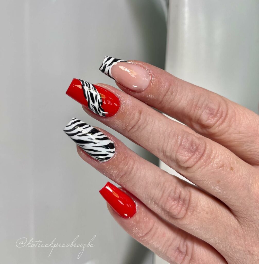 Zebra Nail Designs