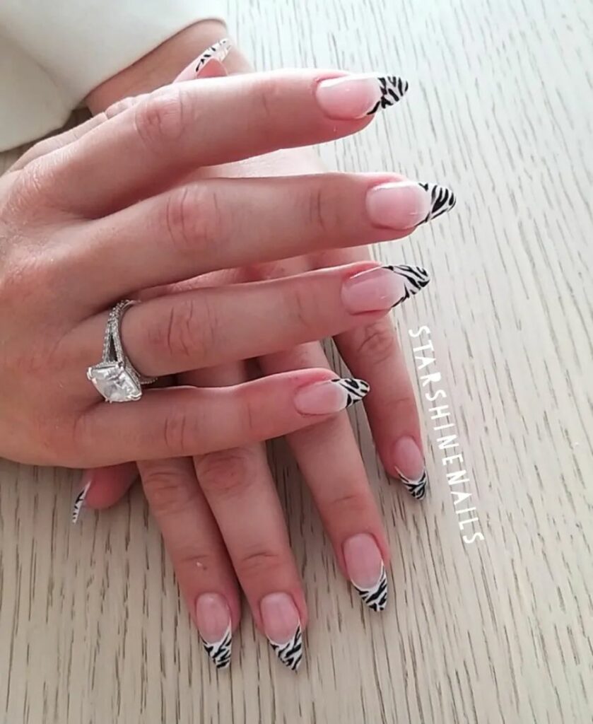 Zebra Nail Designs